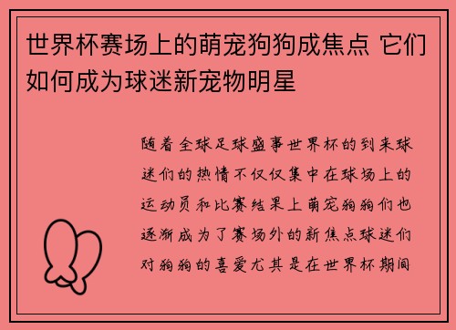 世界杯赛场上的萌宠狗狗成焦点 它们如何成为球迷新宠物明星